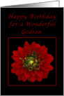 Happy Birthday for a Grandson, Red Dahlia card