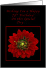 Happy 75th Birthday, Red Dahlia card