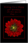 Happy 40th Birthday, Red Dahlia card
