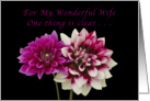 For My Wife Happy Anniversary, Two Dahlias card
