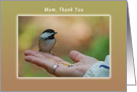 Mom, Thank you, Chickadee Sitting on a Hand card