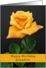 Happy Birthday Grandson, orange-yellow rose card