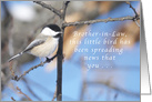 Brother-in-Law, this Chickadee is Spreading Birthday News card