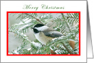 Merry Christmas Chickadee card