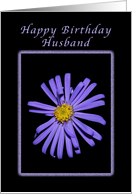 For a Husband on His Birthday, Purple Aster card