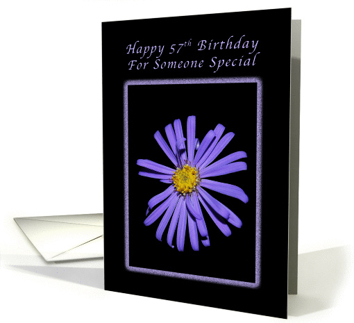 Happy 57th Birthday for Someone Special, Purple Aster card (1381194)