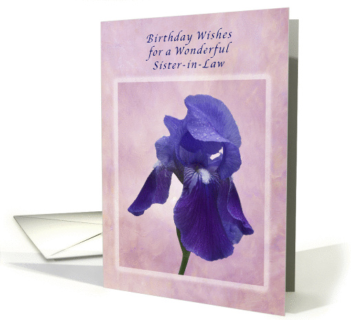 Birthday Wishes for a Sister-in-Law, Purple Iris on Pink card