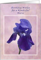 Birthday Wishes for a Nurse, Purple Iris on Pink card