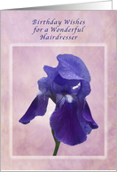 Birthday Wishes for a Hairdresser, Purple Iris on Pink card