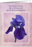 Birthday Wishes for a Great Granddaughter, Purple Iris on Pink card
