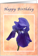Happy Birthday General, Purple Iris card