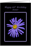 Happy 88th Birthday or a Stunning Sister, Purple Aster card