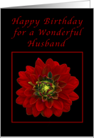 Happy Birthday for my Husband, Red Dahlia card