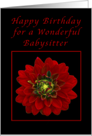 Happy Birthday for a Babysitter, Red Dahlia card