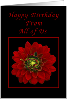 Happy Birthday from All of Us, Red Dahlia card
