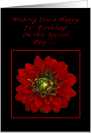 Happy 71st Birthday, Red Dahlia card