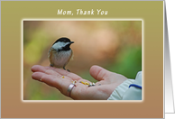 Mom, Thank you, Chickadee Sitting on a Hand card