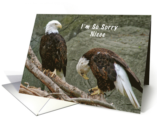 I'm so Sorry Niece, Belated Birthday card (1465292)