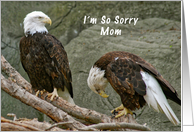 I'm so Sorry Mom,...