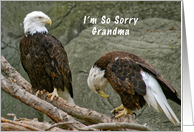 I'm so Sorry Grandma...
