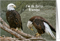 I’m so Sorry Grandpa, Belated Birthday card