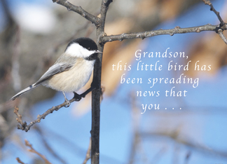 Grandson, this...