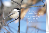 Sister, this Chickadee is Spreading Birthday News card