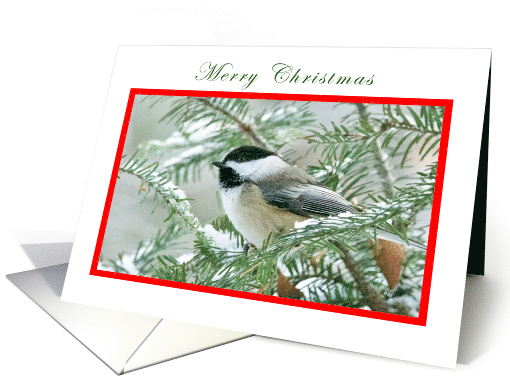 Merry Christmas Chickadee card (1507400)