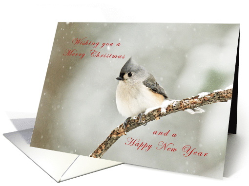 Merry Christmas Tit Mouse card (1507402)