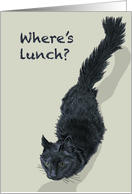 Where's Lunch?