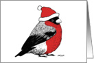 Season’s Greetings, A bullfinch with a Christmas hat card