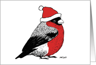 Season’s Greetings, A bullfinch with a Christmas hat card