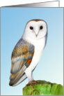 Hand-Painted Watercolor Barn Owl Bird card
