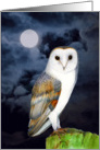 Hand-Painted Watercolor Barn Owl Bird card