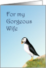 For My Wife Wedding Anniversary Puffin Painting card