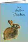 To a Very Dear Grandson with a Baby Rabbit Pastel Drawing card
