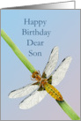 Happy Birthday Dear Son with Hand-painted Dragonfly card