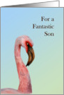 For a Fantastic Son with Hand-Painted Pink Flamingo Bird card