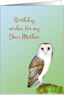 Hand-Painted Watercolor Barn Owl Happy Birthday Wishes for my Mother card