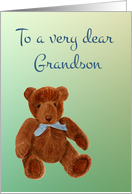 Happy Birthday Dear Grandson with Hand-painted Teddy Bear card