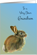 To a Very Dear Grandson with a Baby Rabbit Pastel Drawing card