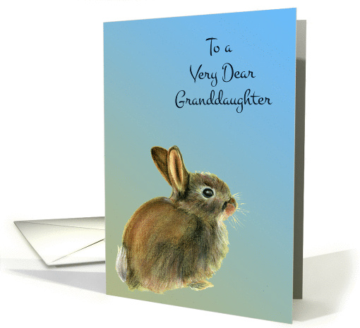 To a Very Dear Granddaughter with a Baby Rabbit Pastel Drawing card