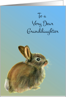 To a Very Dear Granddaughter with a Baby Rabbit Pastel Drawing card