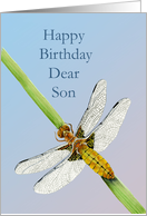 Happy Birthday Dear Son with Hand-painted Dragonfly card