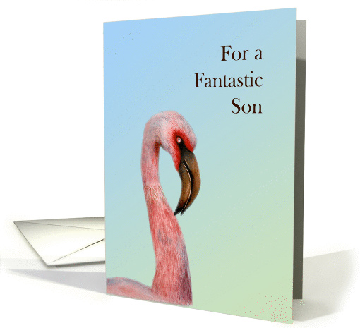 For a Fantastic Son with Hand-Painted Pink Flamingo Bird card