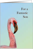 For a Fantastic Son...
