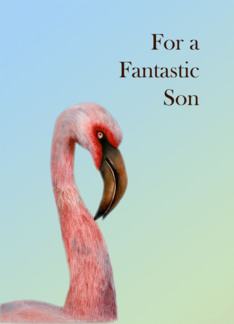 For a Fantastic Son...