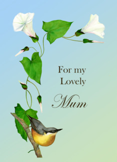 For my Lovely Mum...