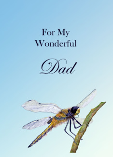 For my Wonderful Dad...