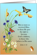 John 1: 12 Gospel Scripture and Butterflies and Mice Easter Card